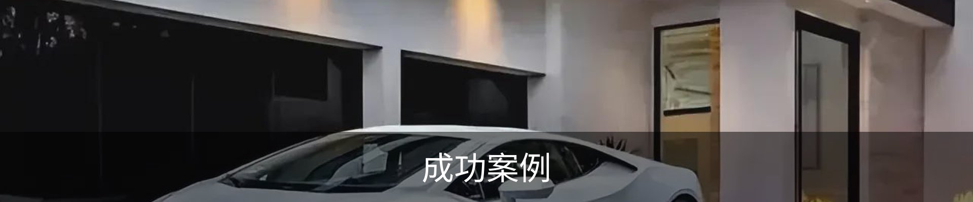 成功案例